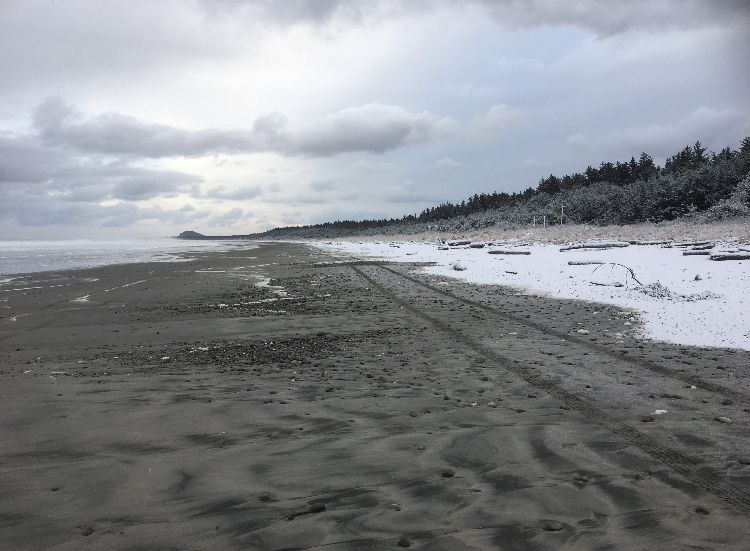 Life is a beach - on Masset - 2020