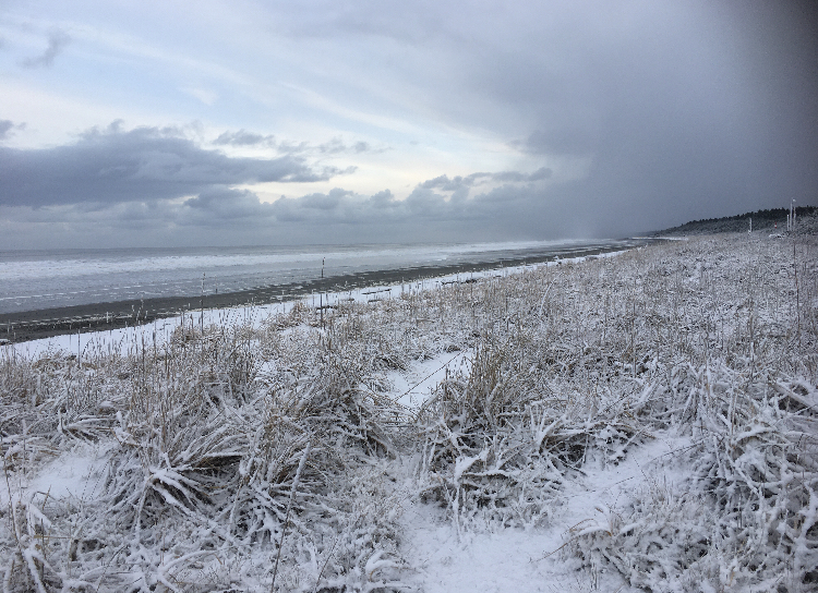 Baby it's cold outside - Masset - 2020